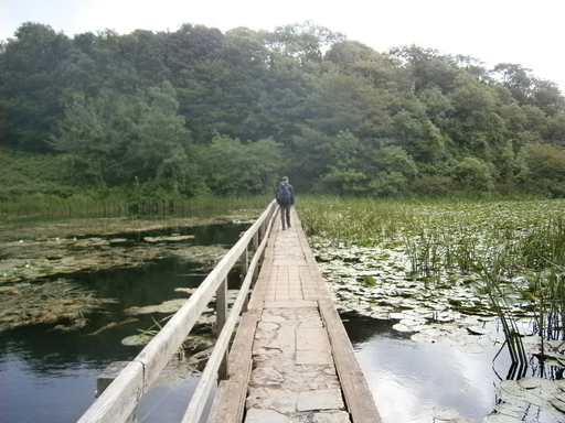 Secured bridges