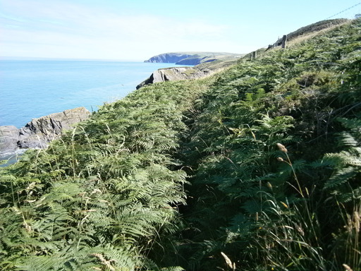 Spot the track..