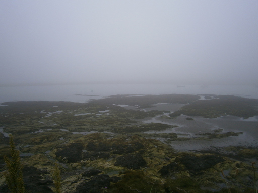 Foggy