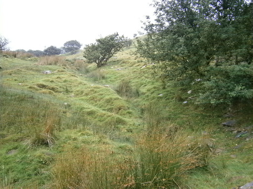 beautiful path today
