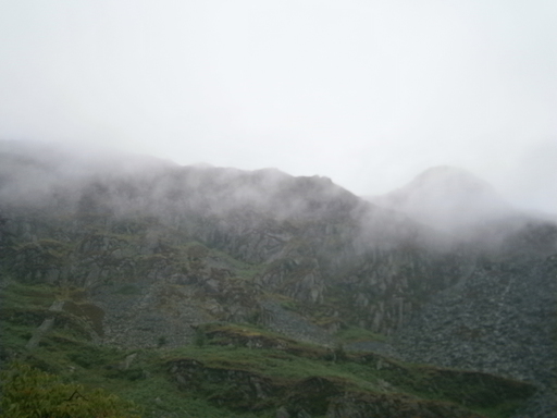 Foggy day...