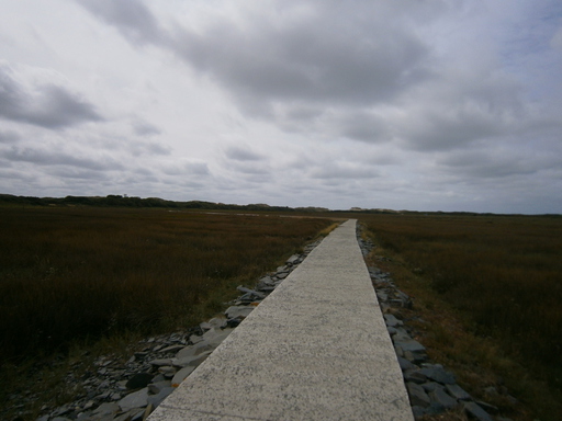 Llanbedr air field