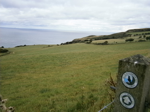 Follow the sign...