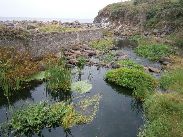 A small stream