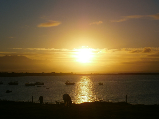 More sunrise